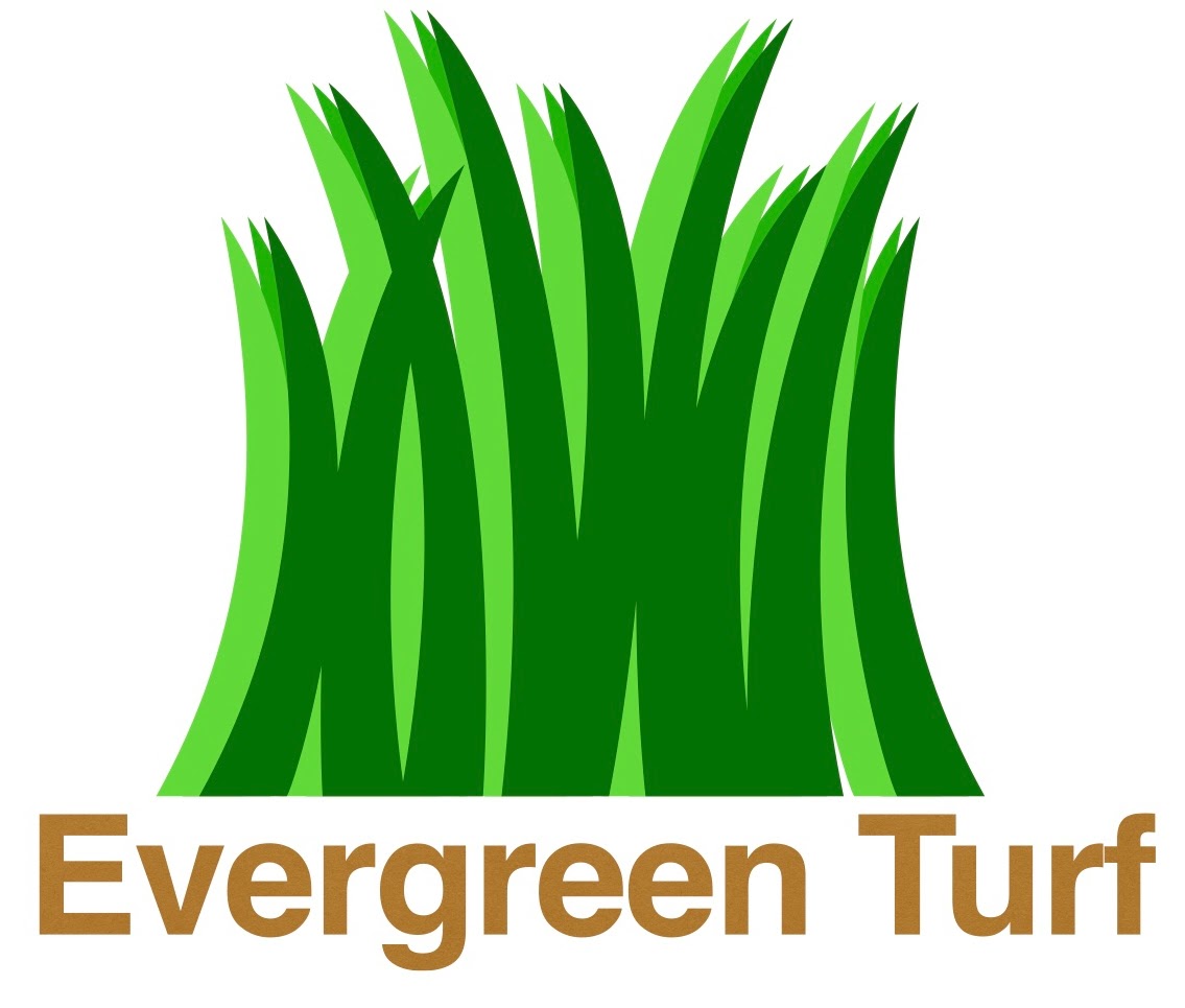 EvergreenTurf.jpg
